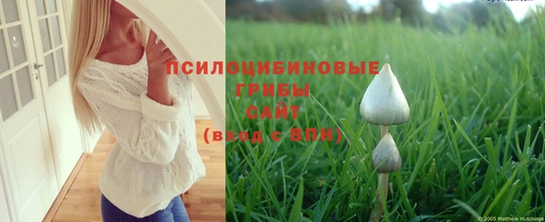 гидра Киренск
