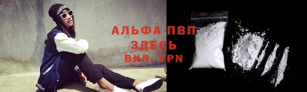 гидра Киренск