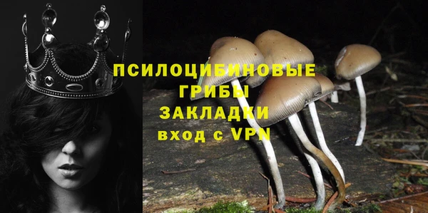 COCAINE Карпинск