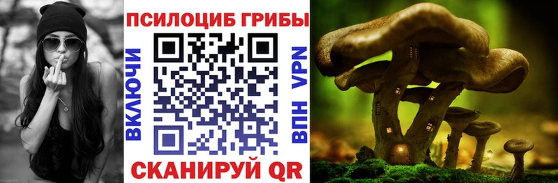 Купить где  Новый Оскол  Галлюциногенные грибы мицелий 